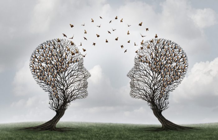 Concept of communication and communicating a message between two head shaped trees with birds perched and flying to each other as a metaphor for teamwork and business or personal relationship with 3D illustration elements.